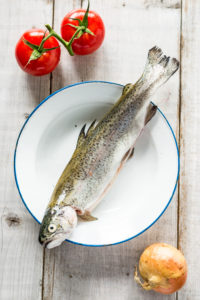 Forelle frisch vom Markt auf maritimen Teller mit zwei roten Tomaten und einer Zwiebel auf weißem Holzhintergrund Forelle frisch vom Markt auf maritimen Teller mit zwei roten Tomaten und einer Zwiebel auf weißem Holzhintergrund